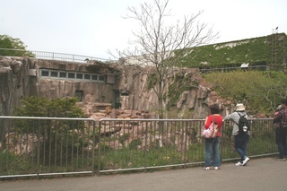 01動物園.jpg